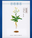 999板蓝根颗粒