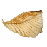 鲨鱼翅骨S 250g